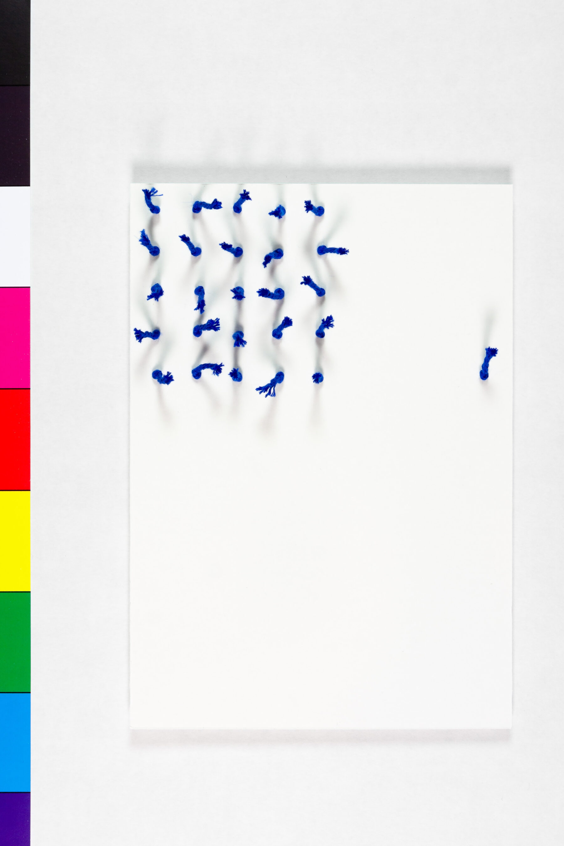 Turn of the year 2025/26, David Fischbach