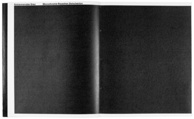 Buchgestaltung Vortrag »Eine Seite ist ein Bild.« von David Fischbach