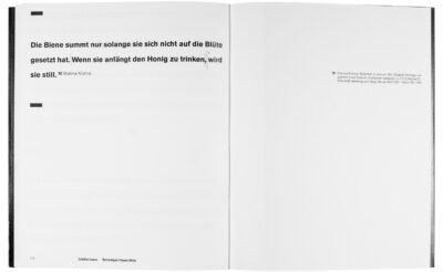 Buchgestaltung Vortrag »Eine Seite ist ein Bild.« von David Fischbach