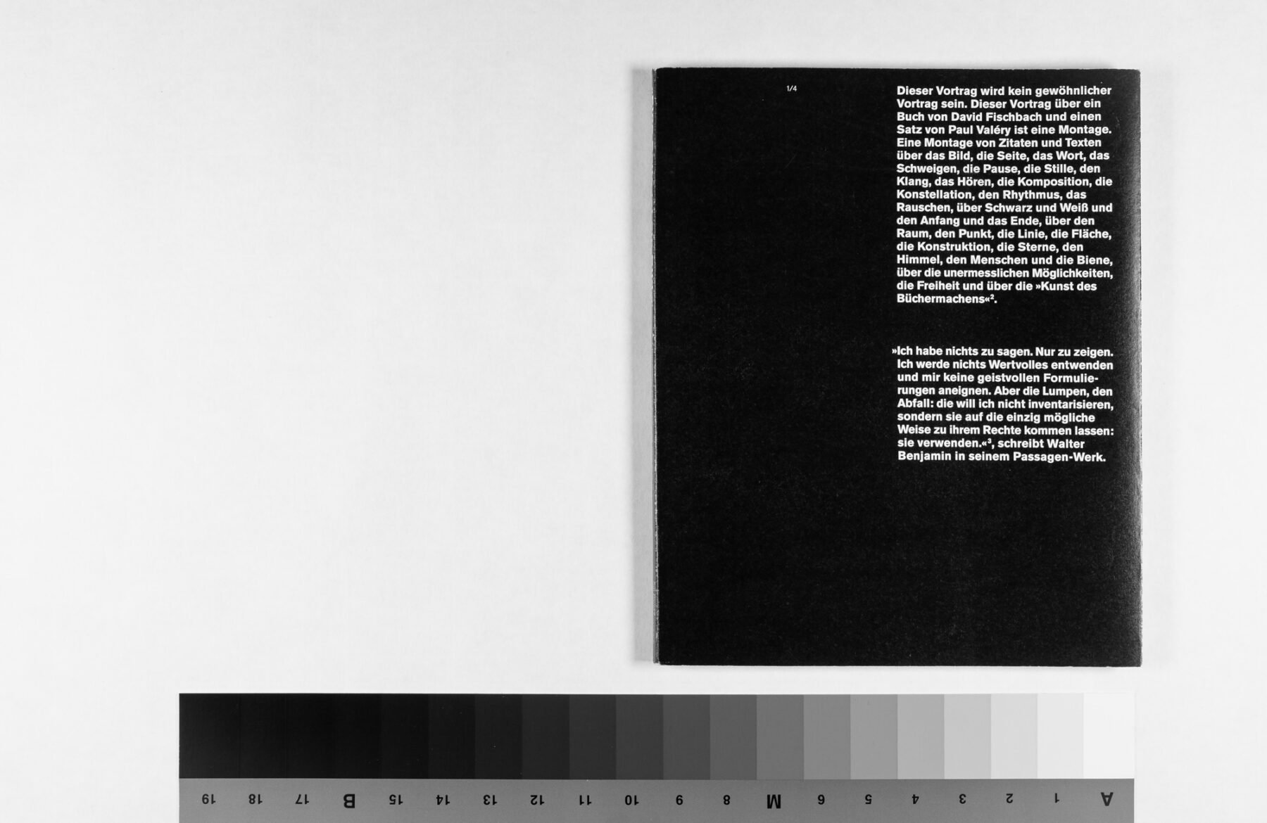 Buchgestaltung Vortrag »Eine Seite ist ein Bild.« von David Fischbach